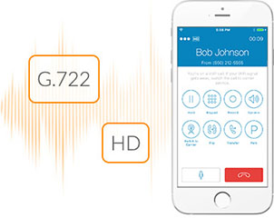 HD voice and video